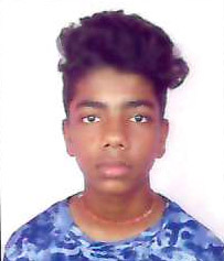 vinit  saha